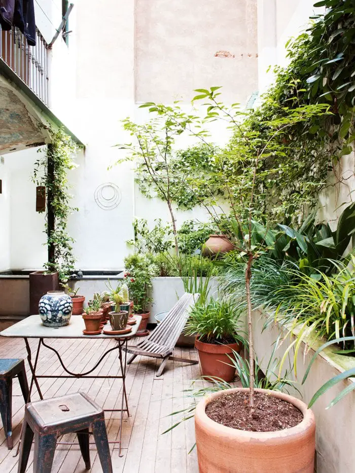 Lush green garden patio in Barcelona with climbing vines and potted trees.. 