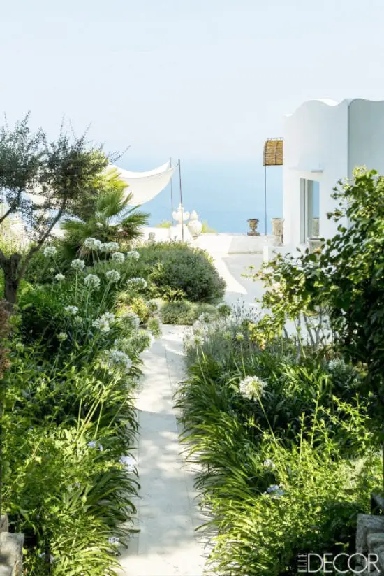 Lush garden pathway by an island home on Capri, Italy.