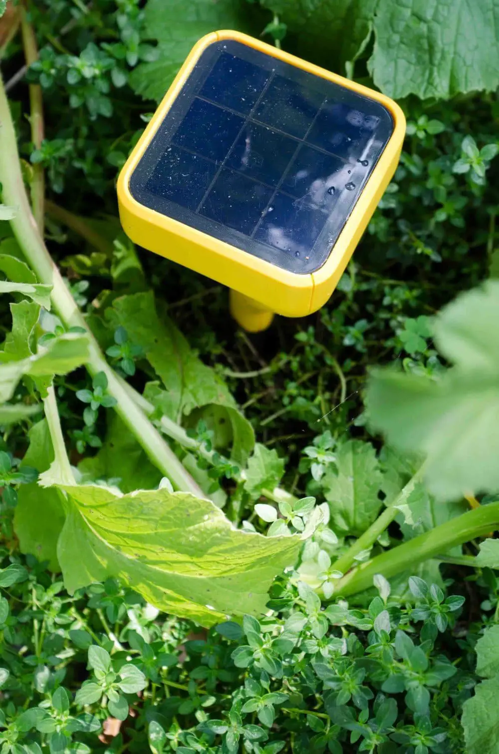 A new garden technology that's changing the way I work in the garden.