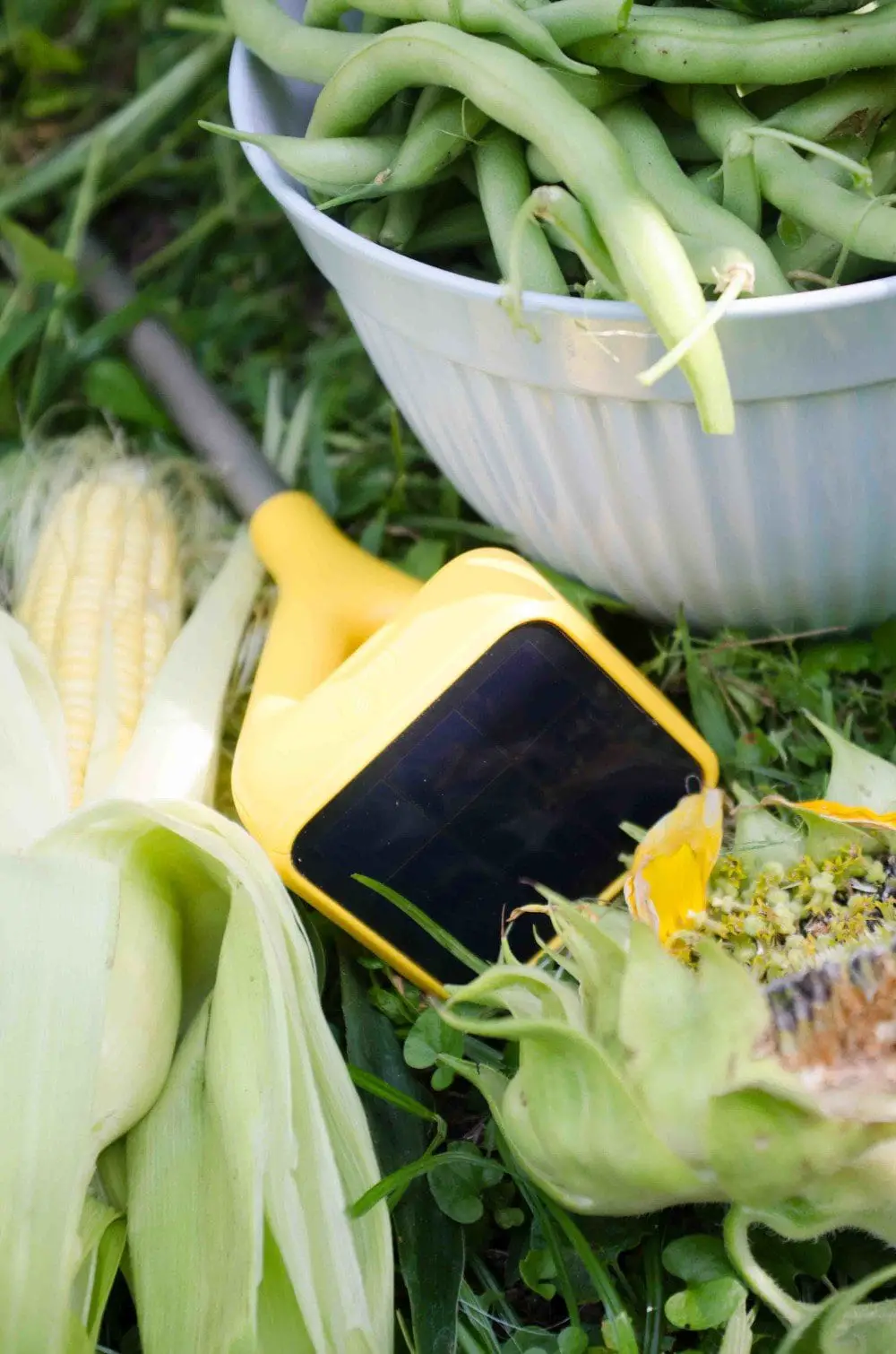 Edyn garden sensor technology that will change the way you work in the garden.