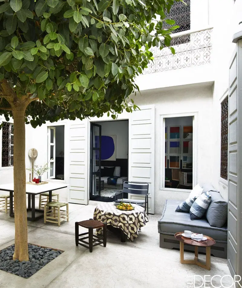 Interior courtyard with a large fig tree in a Moroccan riad via @thouswellblog
