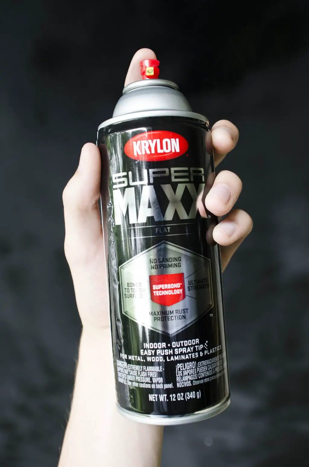 Krylon Super Maxx All-in-One spray paint via @thouswellblog