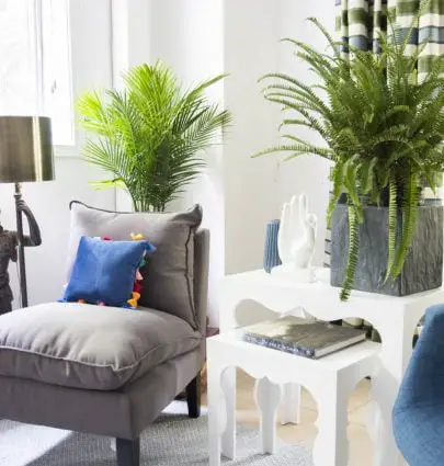 Blue green guest room with fern, palm, and Moroccan side tables on Thou Swell #blueandwhite #livingroom #guestroom #guestbedroom #homedecor