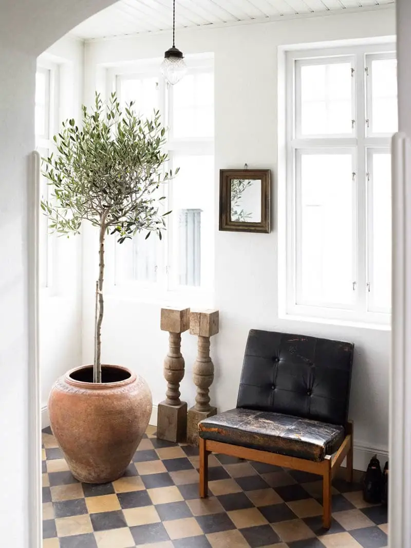 Indoor olive tree with vintage black leather chair and checkerboard floor on Thou Swell @thouswellblog