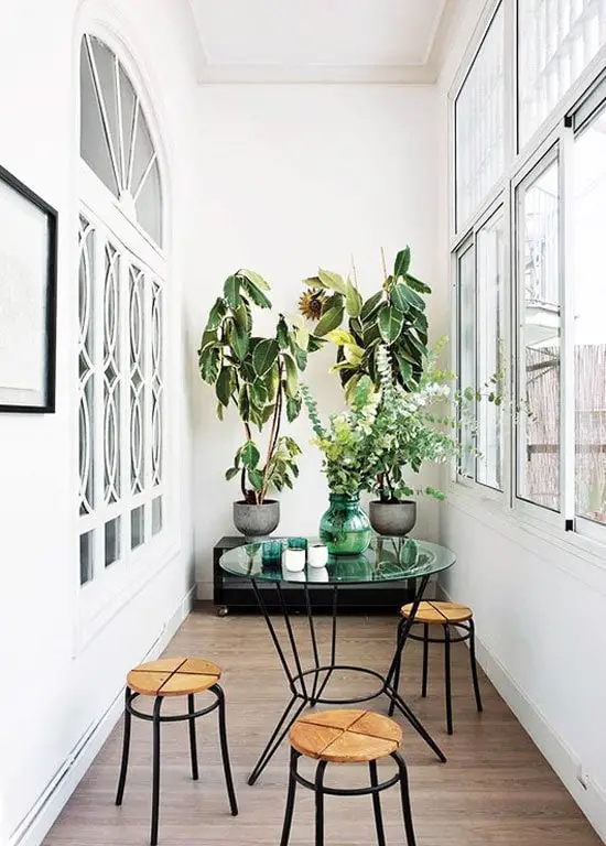 6 WAYS TO GIVE HOUSEPLANTS A CHANCE 2