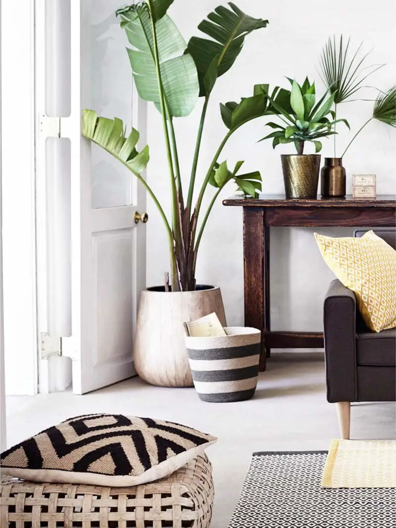 Modern living room with jute throw pillow and indoor plants on Thou Swell @thouswellblog