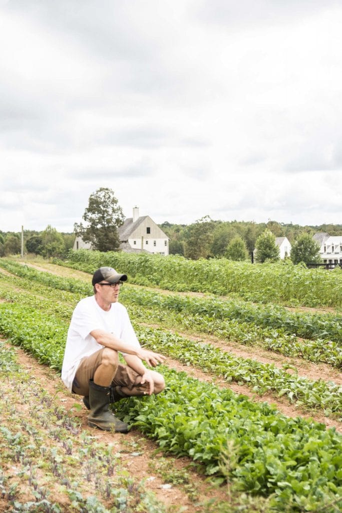 Organic farm at Serenbe, Georgia on Thou Swell @thouswellblog