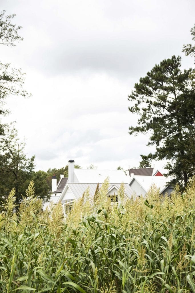 Organic farm with houses in the background in Serenbe, Georgia on Thou Swell @thouswellblog