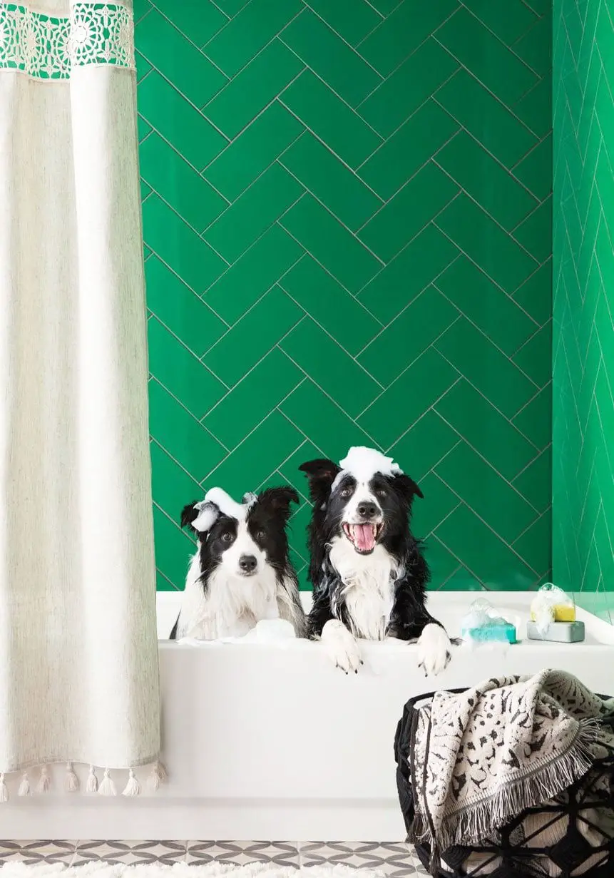 Fabulous green tile bathroom with cute dogs on Thou Swell @thouswellblog