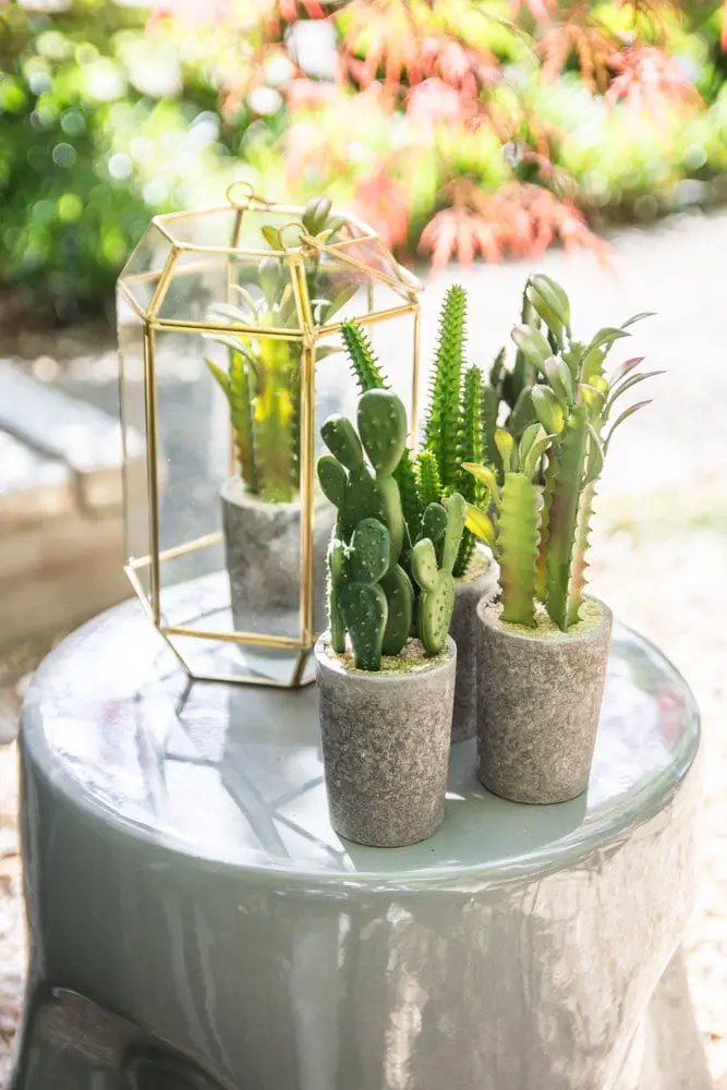 Grey face stool with succulents and brass lantern on Thou Swell @thouswellblog
