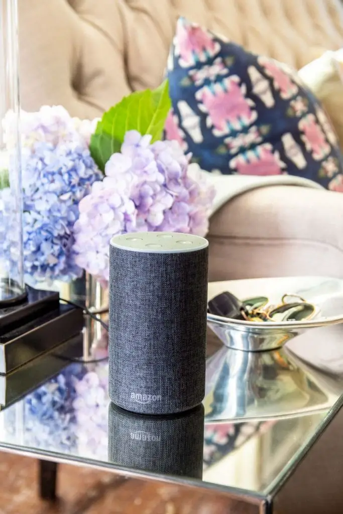These 'skills' will make your Amazon Echo the perfect home assistant from cooking to getting your to-do list done on Thou Swell @thouswellblog