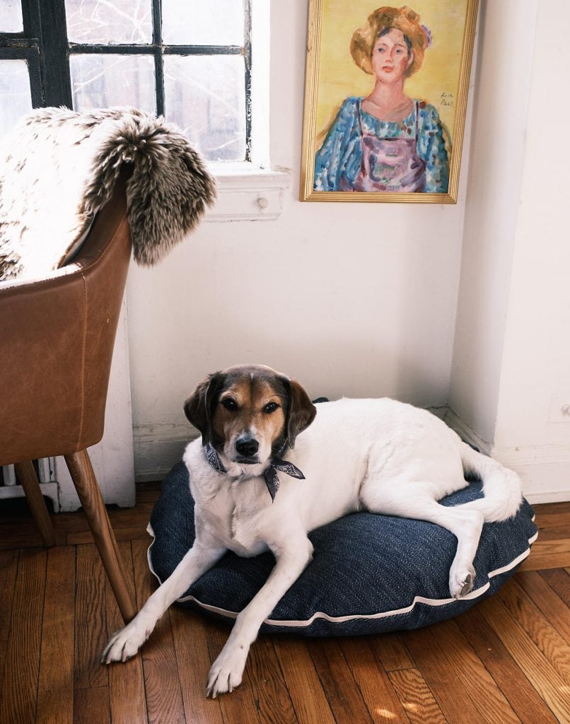 Madewell x Parachute sleep collection, dog bed on Thou Swell #dog #dogbed #bed #pillow