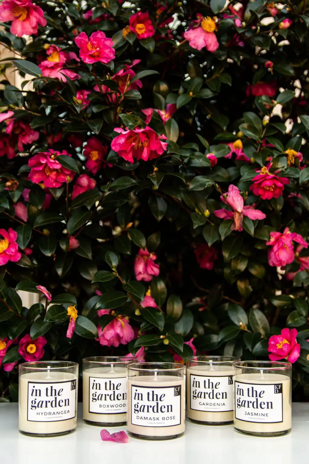 IN THE GARDEN scented candle collection inspired by the traditional Southern garden with boxwood, hydrangea, jasmine, damask rose, and jasmine by Kevin Francis Design #southerngarden #garden #gardening #candles #scentedcandle