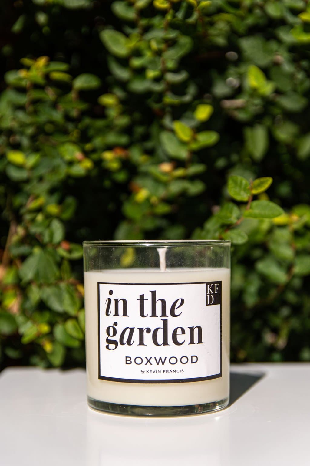 In the Garden My Scented Candle Collection Launch