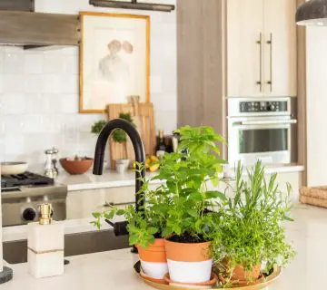 Indoor countertop herb garden in the kitchen with mismatched pots and Plasti Dip Craft coating DIY project on Thou Swell #herbgarden #indoorplants #indoorgarden #kitchengarden #plastidip