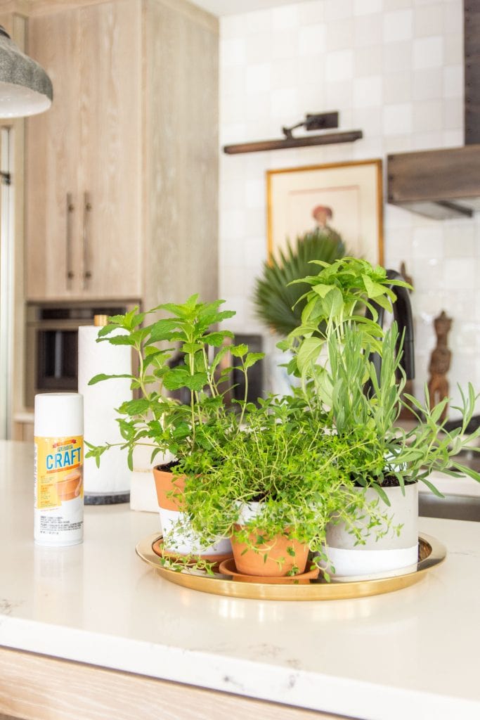 Indoor countertop herb garden in the kitchen with mismatched pots and Plasti Dip Craft coating DIY project on Thou Swell #herbgarden #indoorplants #indoorgarden #kitchengarden #plastidip 