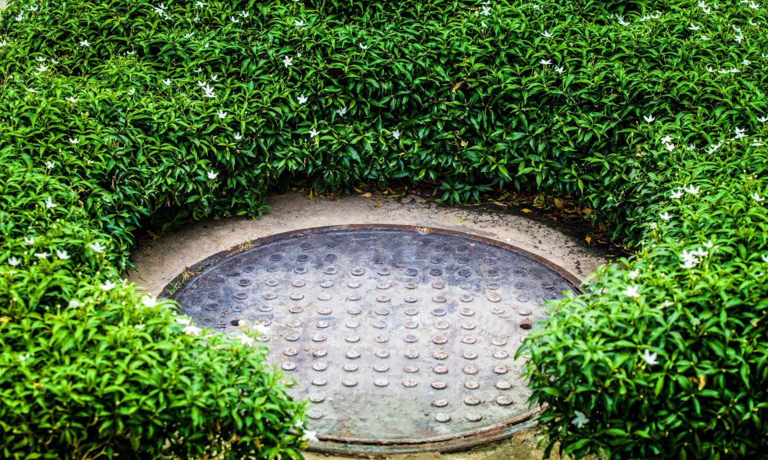 5 Creative Ways To Blend Sewer Covers With Your Garden