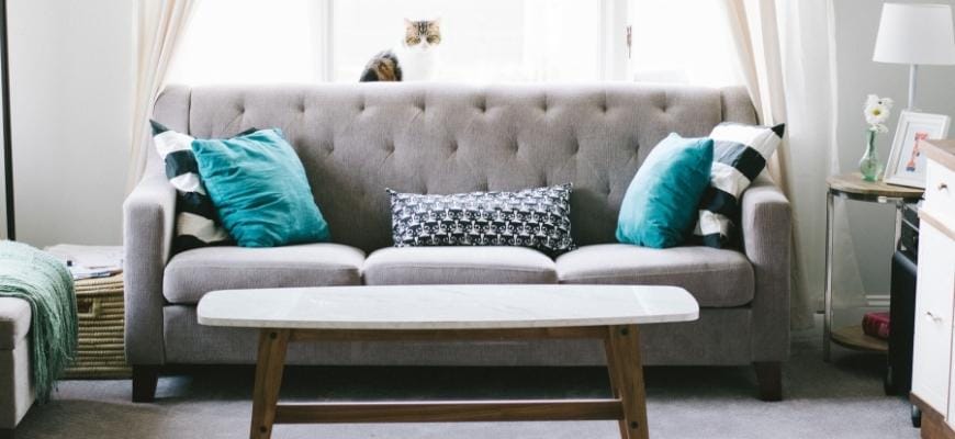 Couch Care: Deep Cleaning Every Part, Including Upholstery, Armrests & More 12 Couch Care