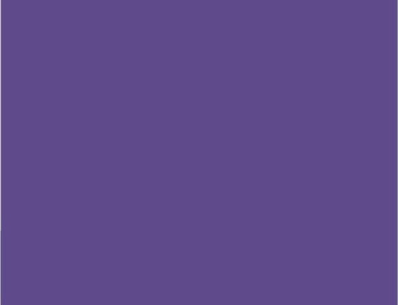 Ultra violet color trend in 2017