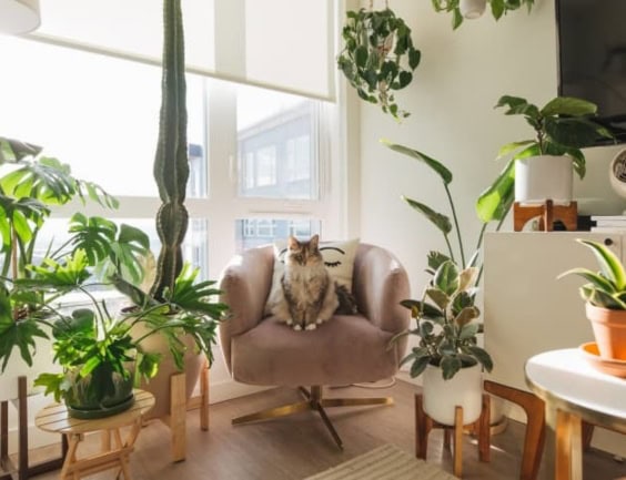 15 Essential Small Apartment Interior Design Ideas 4
