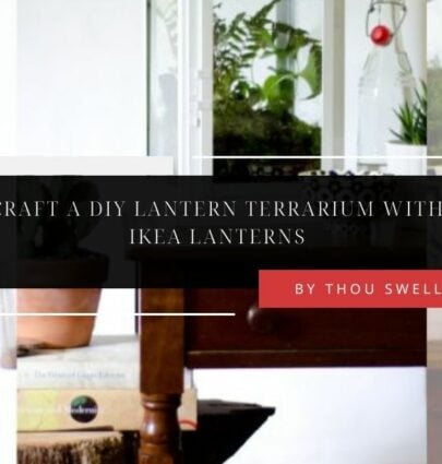 Craft a DIY Lantern Terrarium with IKEA Lanterns 14 Craft a DIY Lantern Terrarium with IKEA Lanterns 4