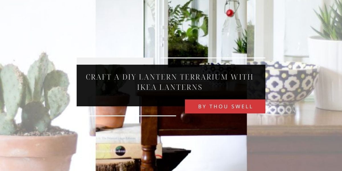 Craft a DIY Lantern Terrarium with IKEA Lanterns 53 Craft a DIY Lantern Terrarium with IKEA Lanterns 8